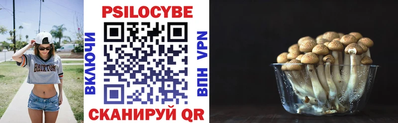 Галлюциногенные грибы Cubensis где купить наркоту Новомичуринск